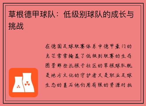 草根德甲球队：低级别球队的成长与挑战