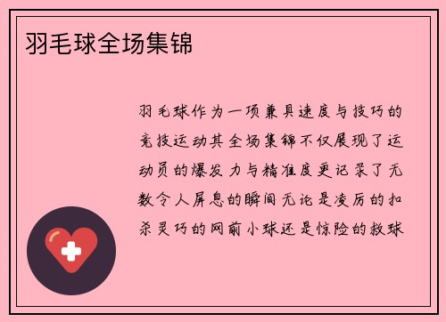 羽毛球全场集锦